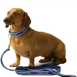 UPCOUNTRY HOME & GIFTS 6 Foot Seaside Lead